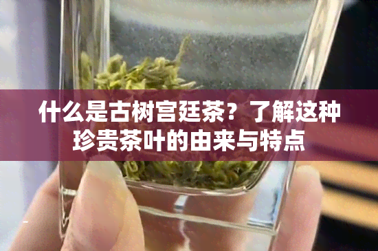 什么是古树宫廷茶？了解这种珍贵茶叶的由来与特点