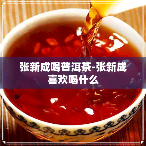 张新成喝普洱茶-张新成喜欢喝什么