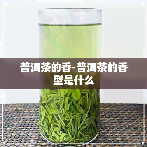 普洱茶的香-普洱茶的香型是什么