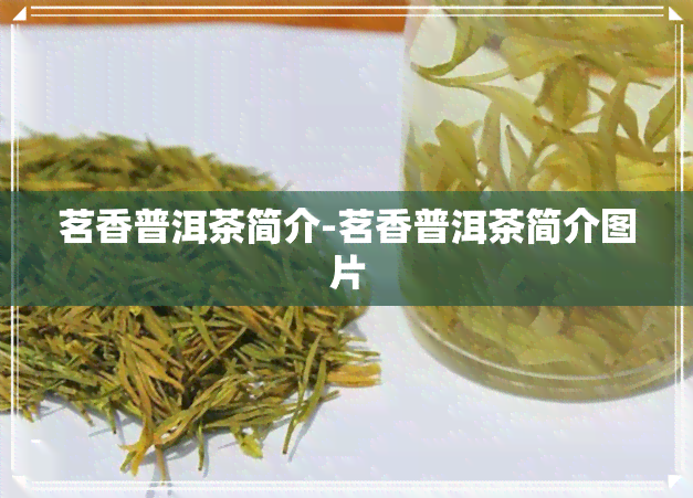 茗香普洱茶简介-茗香普洱茶简介图片