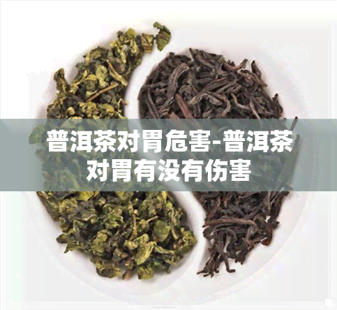 普洱茶对胃危害-普洱茶对胃有没有伤害