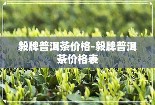 毅牌普洱茶价格-毅牌普洱茶价格表