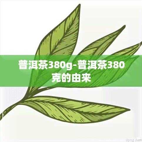 普洱茶380g-普洱茶380克的由来