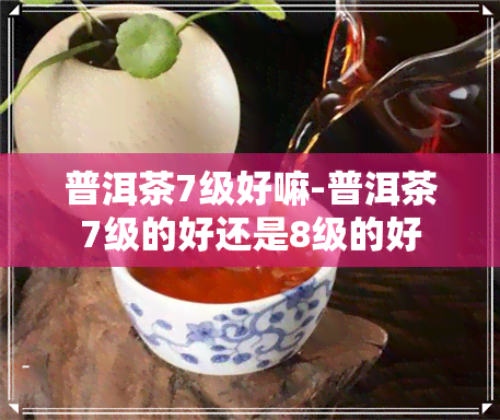 普洱茶7级好嘛-普洱茶7级的好还是8级的好