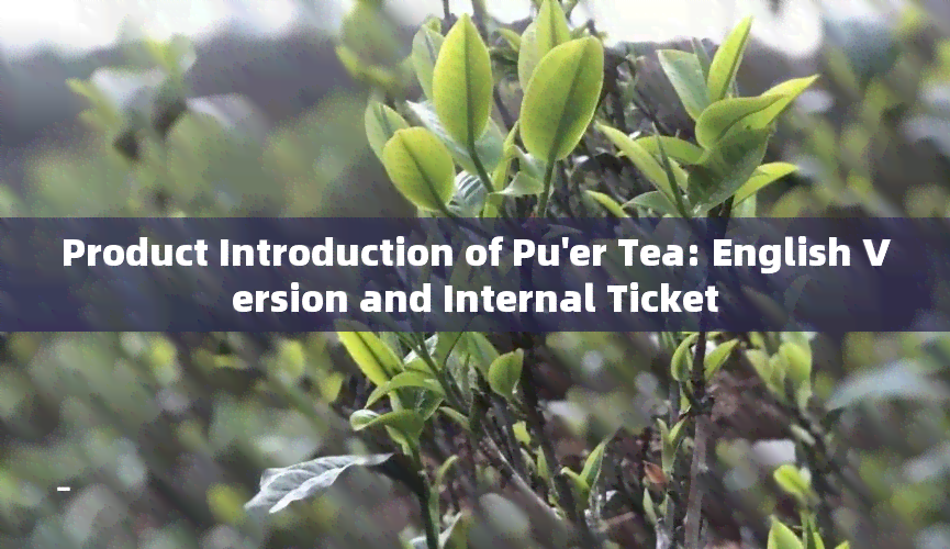 Product Introduction of Pu'er Tea: English Version and Internal Ticket