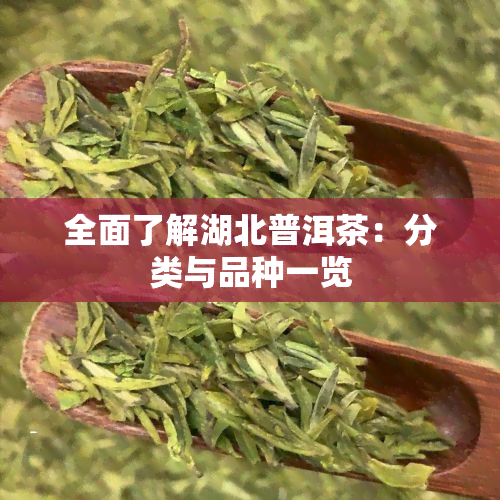 全面了解湖北普洱茶：分类与品种一览