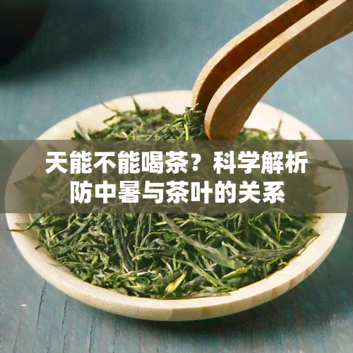 天能不能喝茶？科学解析防中暑与茶叶的关系