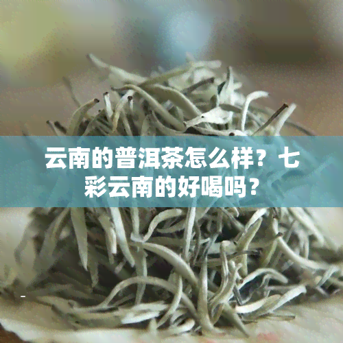 云南的普洱茶怎么样？七彩云南的好喝吗？