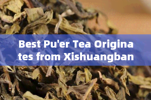 Best Pu'er Tea Originates from Xishuangbanna, as stated in both Chinese and English