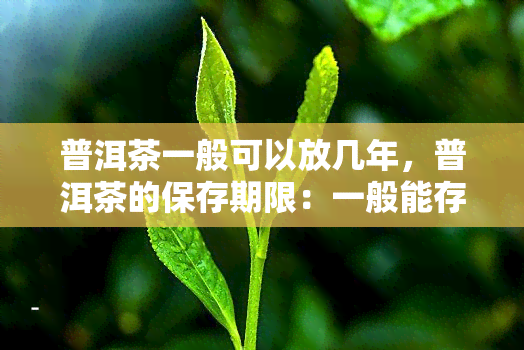 普洱茶一般可以放几年，普洱茶的保存期限：一般能存放几年？