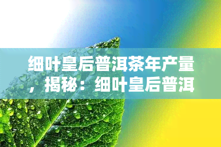 细叶皇后普洱茶年产量，揭秘：细叶皇后普洱茶的年产量是多少？