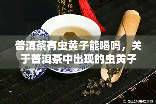 普洱茶有虫黄子能喝吗，关于普洱茶中出现的虫黄子，能否安全饮用？