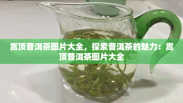 嵩顶普洱茶图片大全，探索普洱茶的魅力：嵩顶普洱茶图片大全