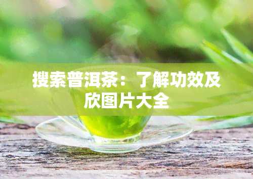 搜索普洱茶：了解功效及欣图片大全