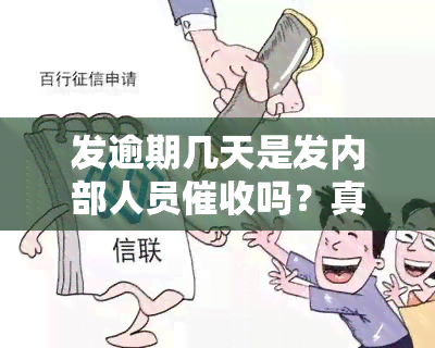 发逾期几天是发内部人员吗？真相解析