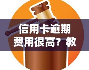 信用卡逾期费用很高？教你如何解决！