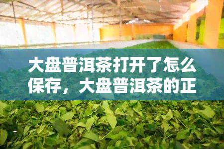 大盘普洱茶打开了怎么保存，大盘普洱茶的正确保存方法：从开罐到存全解析