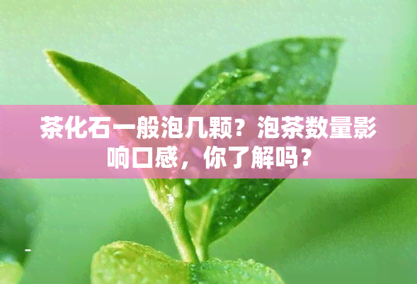 茶化石一般泡几颗？泡茶数量影响口感，你了解吗？