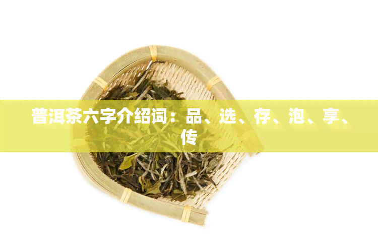 普洱茶六字介绍词：品、选、存、泡、享、传