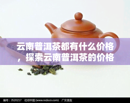 云南普洱茶都有什么价格，探索云南普洱茶的价格围：从入门级到高端收藏品