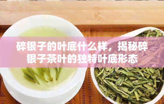 碎银子的叶底什么样，揭秘碎银子茶叶的独特叶底形态