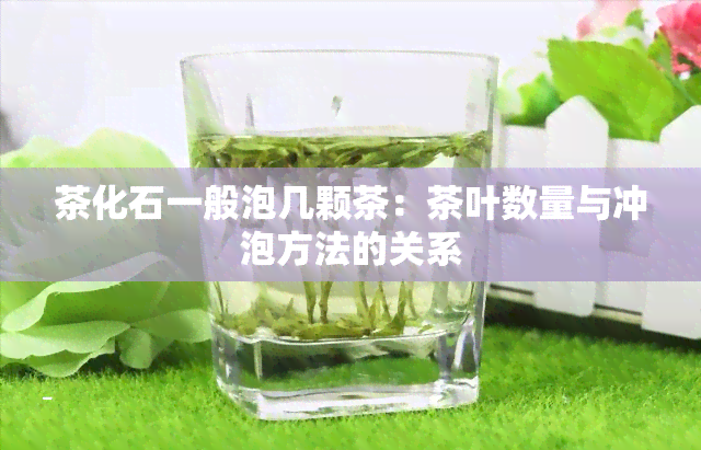 茶化石一般泡几颗茶：茶叶数量与冲泡方法的关系