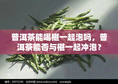 普洱茶能喝椹一起泡吗，普洱茶能否与椹一起冲泡？