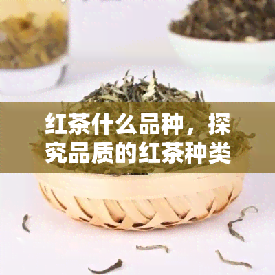 红茶什么品种，探究品质的红茶种类