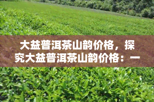 大益普洱茶山韵价格，探究大益普洱茶山韵价格：一份全面的茶叶价值分析