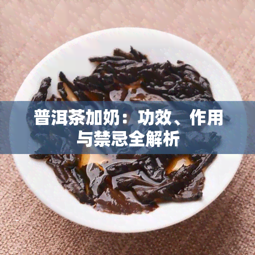 普洱茶加奶：功效、作用与禁忌全解析