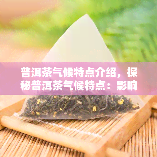 普洱茶气候特点介绍，探秘普洱茶气候特点：影响其独特口感的关键因素