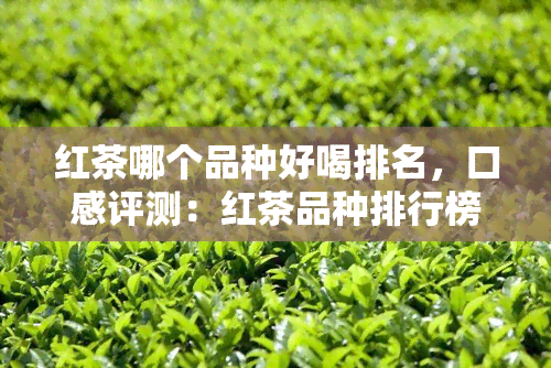 红茶哪个品种好喝排名，口感评测：红茶品种排行榜，哪一款才是你的更爱？