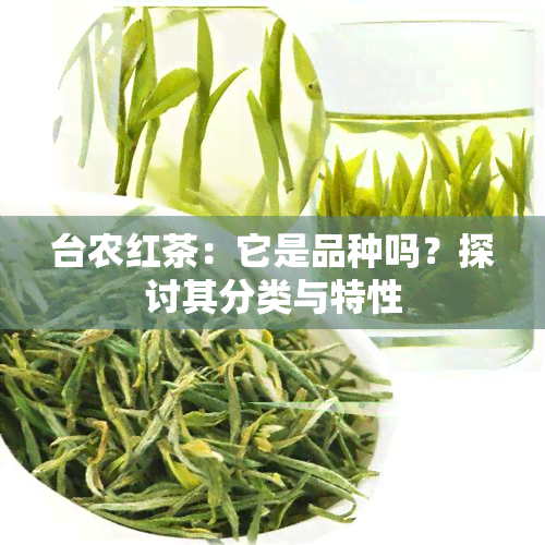 台农红茶：它是品种吗？探讨其分类与特性