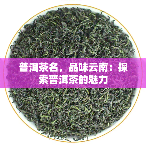 普洱茶名，品味云南：探索普洱茶的魅力