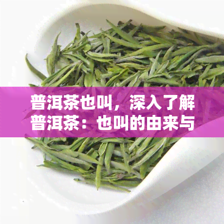 普洱茶也叫，深入了解普洱茶：也叫的由来与含义