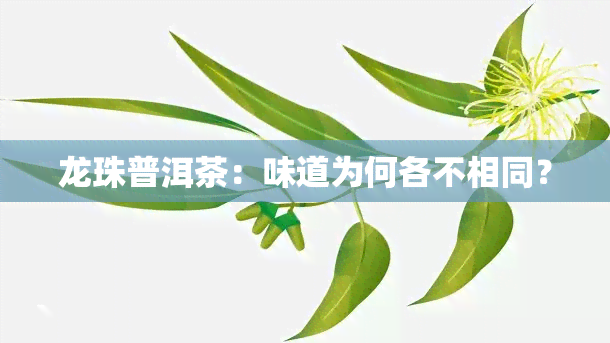 龙珠普洱茶：味道为何各不相同？