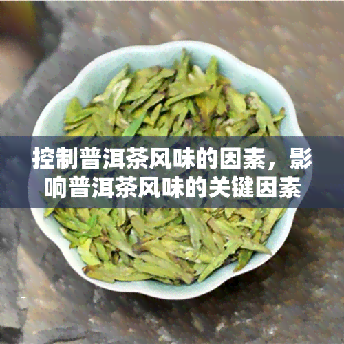 控制普洱茶风味的因素，影响普洱茶风味的关键因素解析