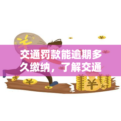 交通罚款能逾期多久缴纳，了解交通罚款：逾期缴纳的时间限制是什么？