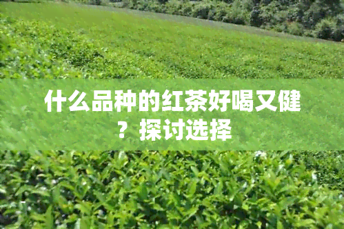 什么品种的红茶好喝又健？探讨选择