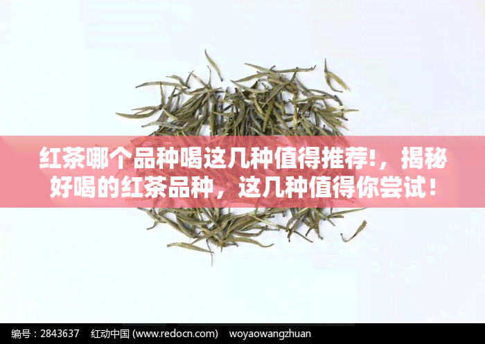 红茶哪个品种喝这几种值得推荐!，揭秘好喝的红茶品种，这几种值得你尝试！