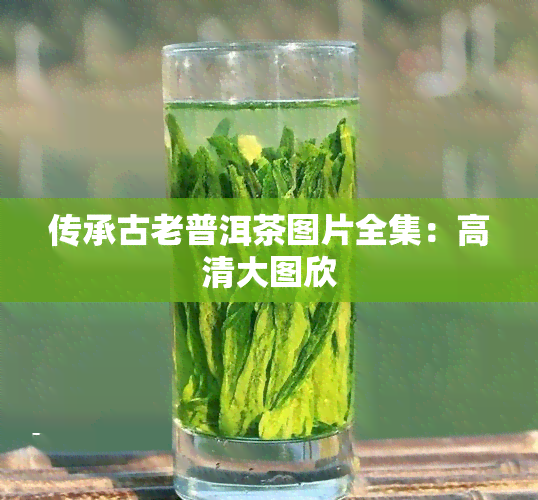 传承古老普洱茶图片全集：高清大图欣