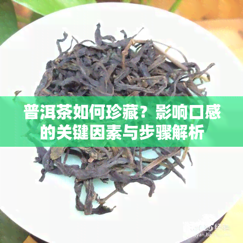 普洱茶如何珍藏？影响口感的关键因素与步骤解析