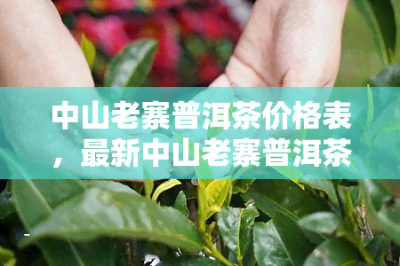 中山老寨普洱茶价格表，最新中山老寨普洱茶价格表出炉，一网打尽全品种信息！