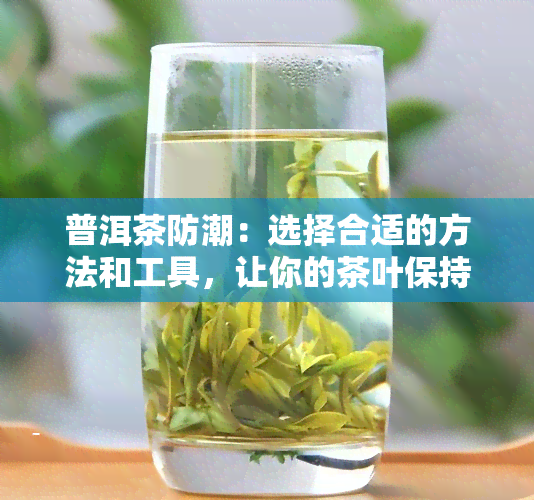 普洱茶防潮：选择合适的方法和工具，让你的茶叶保持状态