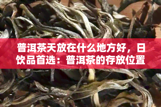 普洱茶天放在什么地方好，日饮品首选：普洱茶的存放位置