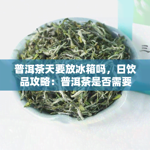 普洱茶天要放冰箱吗，日饮品攻略：普洱茶是否需要存放在冰箱中？