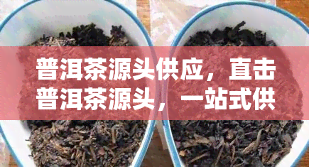 普洱茶源头供应，直击普洱茶源头，一站式供应服务