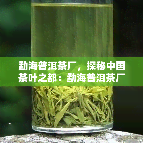 勐海普洱茶厂，探秘中国茶叶之都：勐海普洱茶厂的历与文化