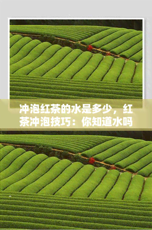 冲泡红茶的水是多少，红茶冲泡技巧：你知道水吗？