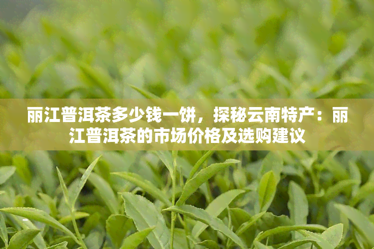 丽江普洱茶多少钱一饼，探秘云南特产：丽江普洱茶的市场价格及选购建议